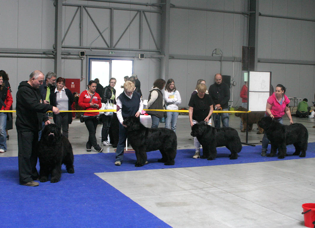 Feny třída otevřená